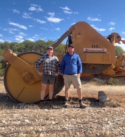 Non-arable sheep country now producing big crops
