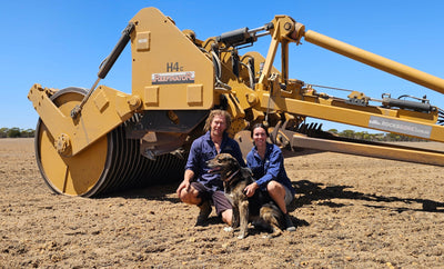 More ‘reefination’ keeps boosting paddock yields